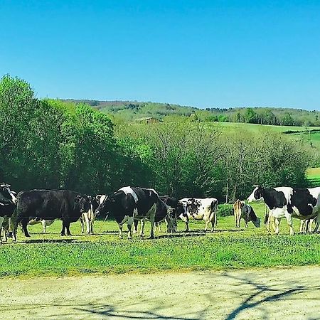 « Le Vieux Hangar » Gite A La Ferme Truffe Екстер'єр фото