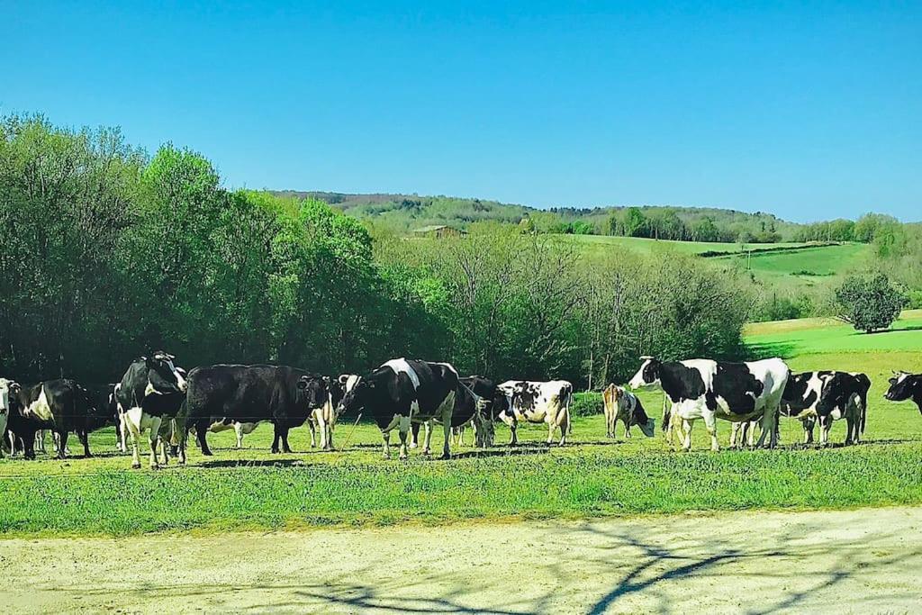 « Le Vieux Hangar » Gite A La Ferme Truffe Екстер'єр фото